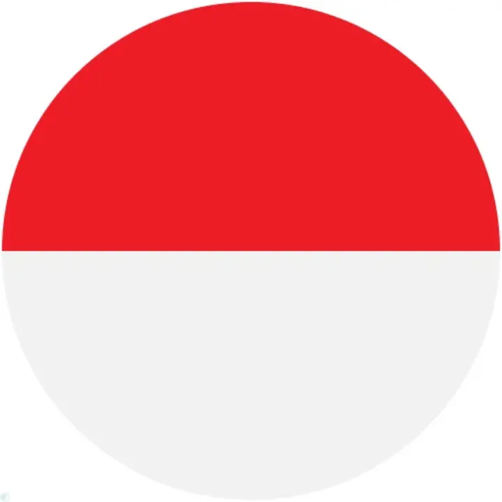 پرچم اندونزی