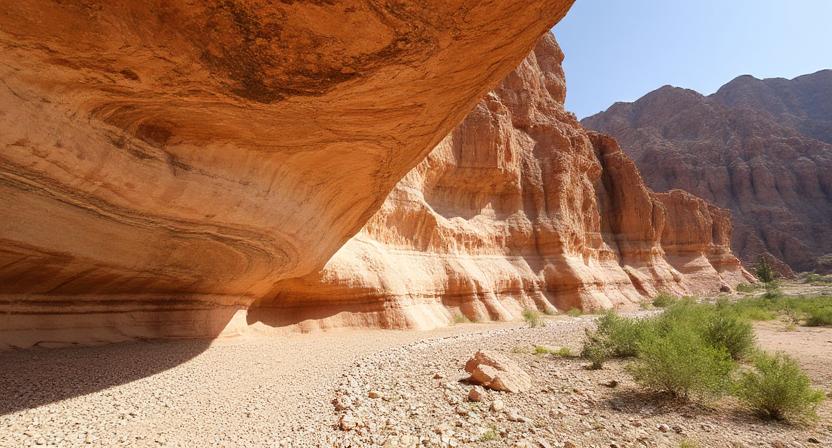 تور طبیعت‌گردی ایران؛ از جنگل هیرکانی تا کویر مرنجاب